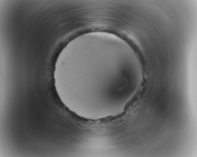 X0000088470920200706051339