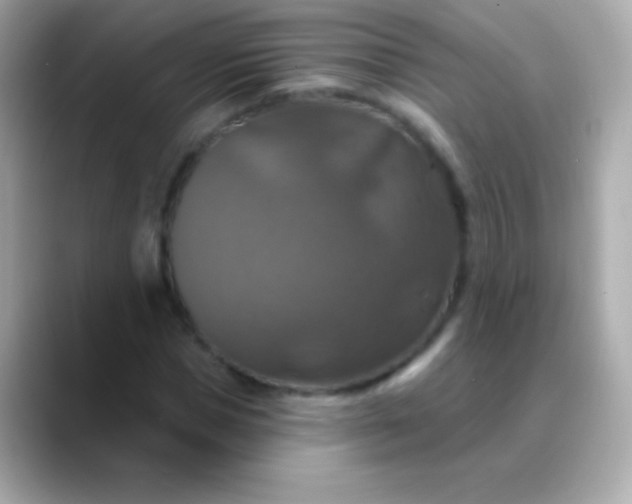 X0000088470921200706051339