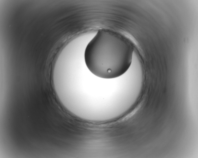 X0000088470922200706051339