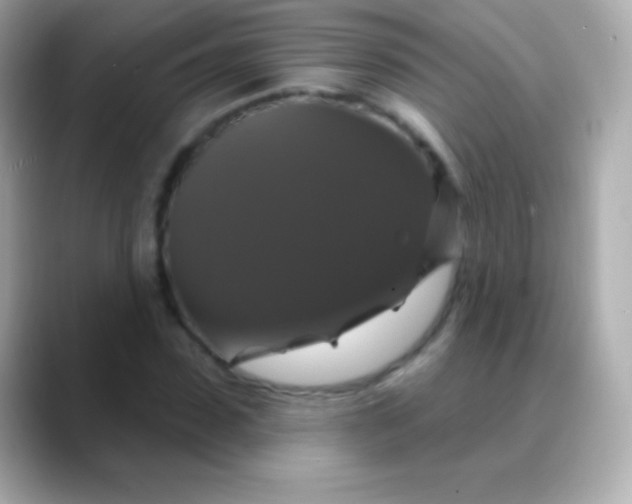 X0000088470923200706051339