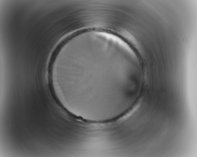 X0000088470924200706051339