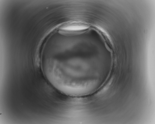 X0000088470925200706051339