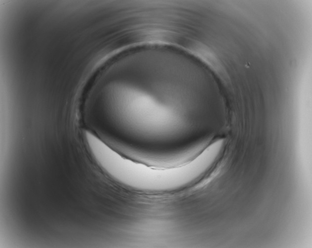 X0000088470926200706051339