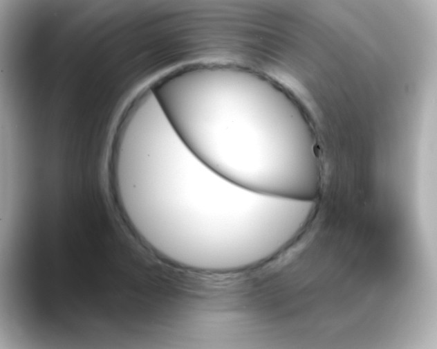 X0000088470928200706051339