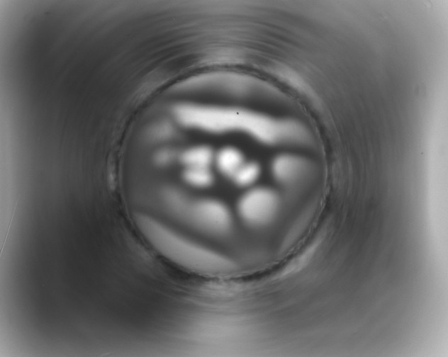 X0000088470929200706051339