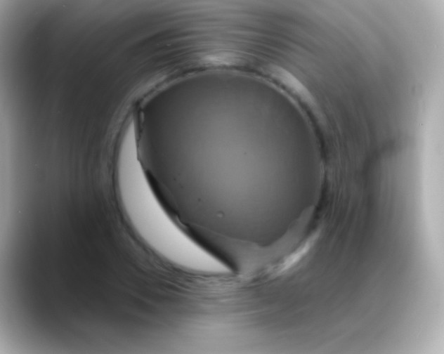 X0000088470930200706051339