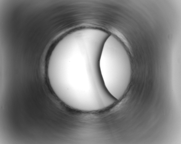 X0000088470931200706051339