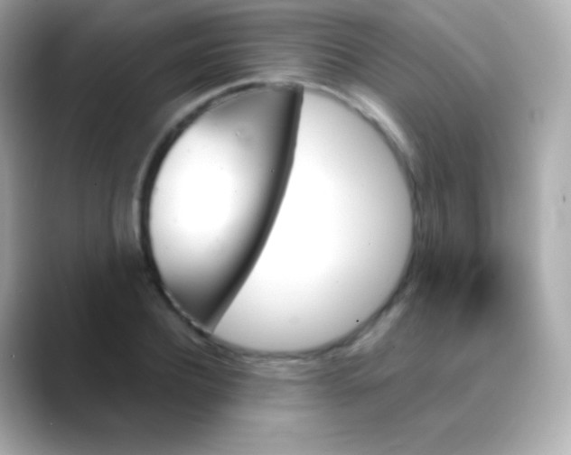 X0000088470932200706051339