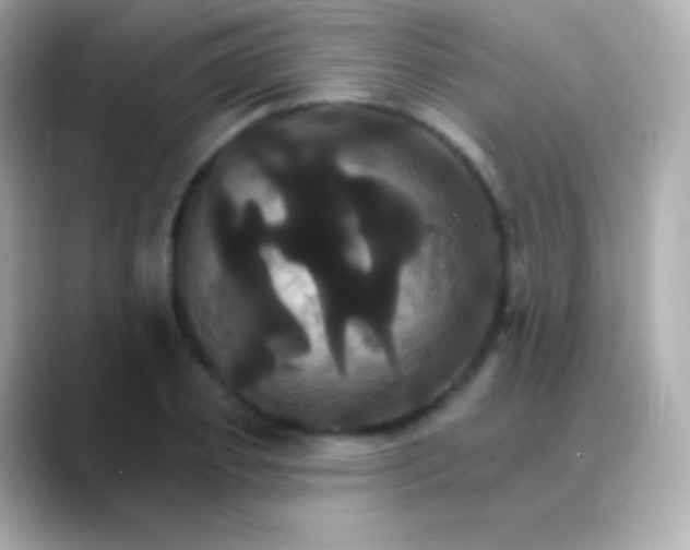 X0000088470933200706051339