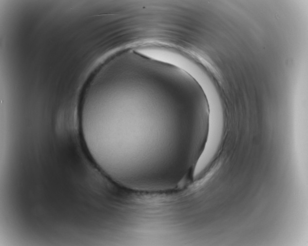 X0000088470934200706051339