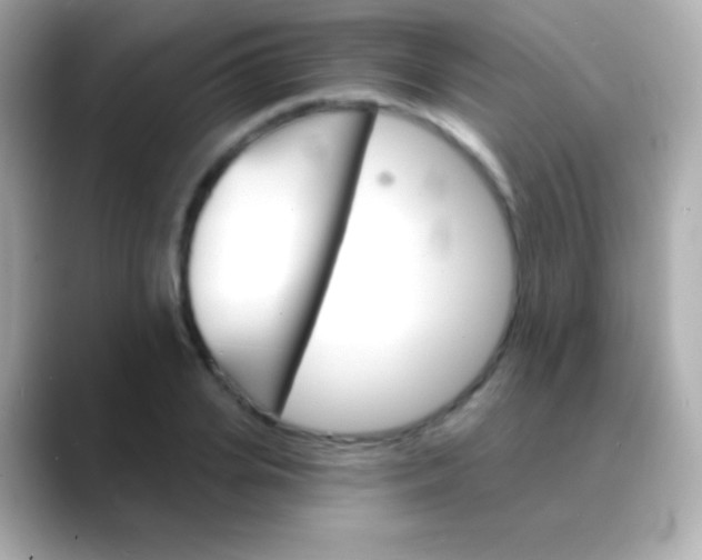 X0000088470935200706051339