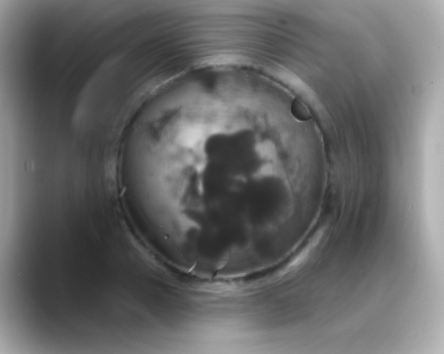 X0000088470937200706051339