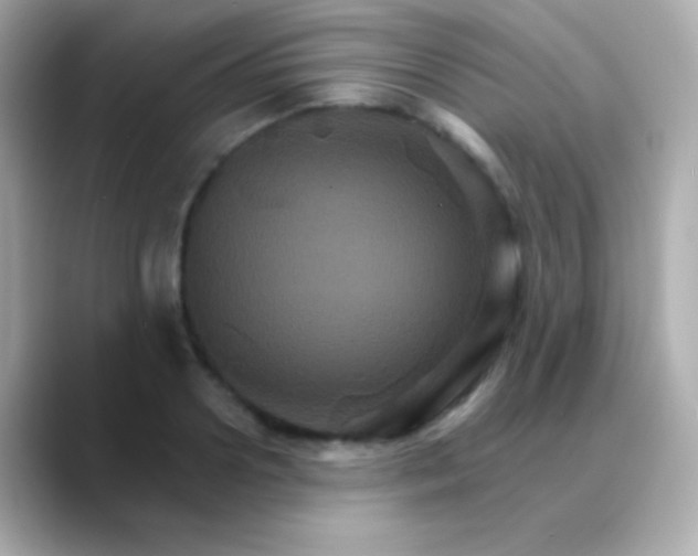 X0000088470938200706051339