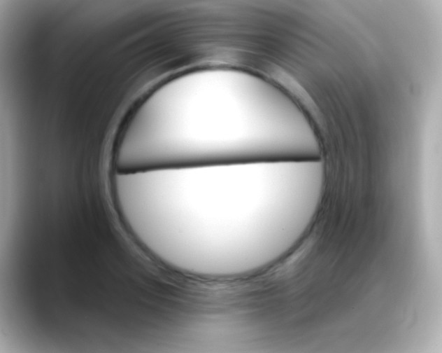 X0000088470939200706051339