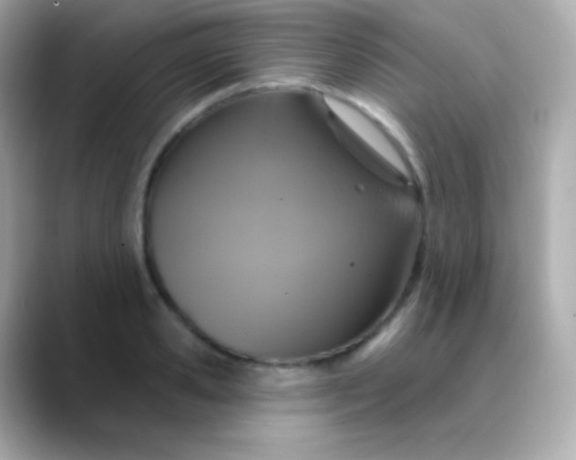 X0000088470941200706051339