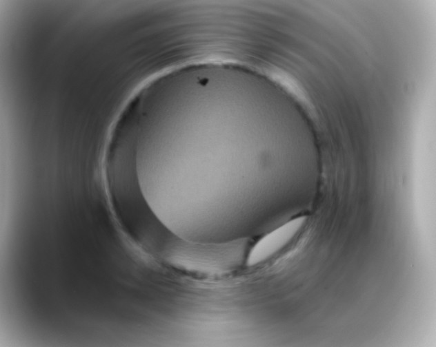 X0000088470942200706051340