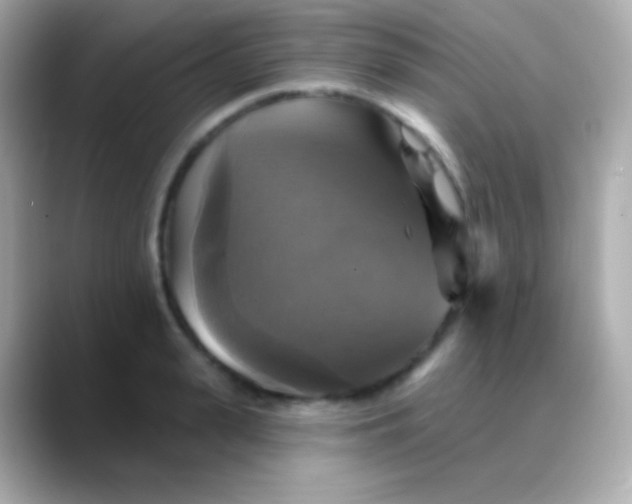 X0000088470943200706051340