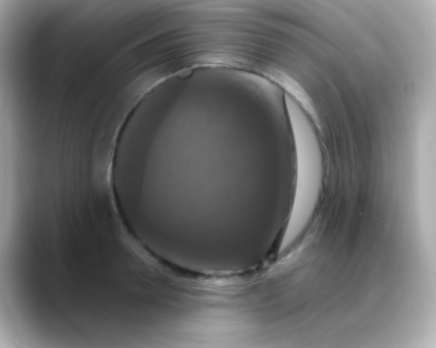 X0000088470946200706051340