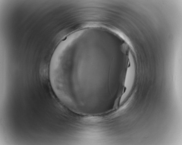 X0000088470953200706051340