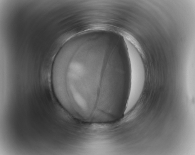 X0000088470954200706051340