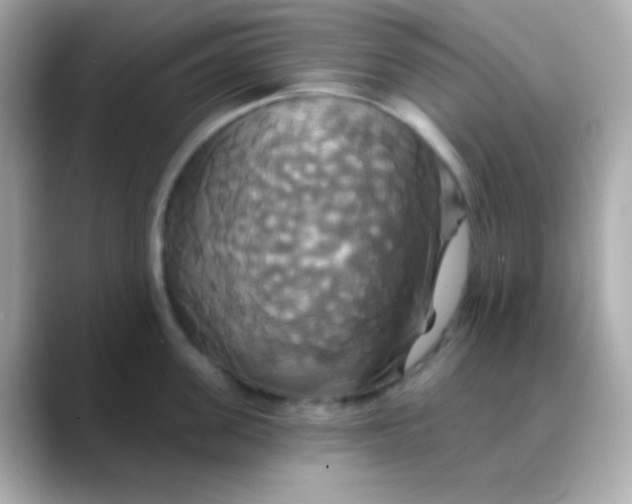 X0000088470955200706051340