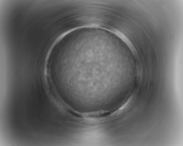 X0000088470956200706051340