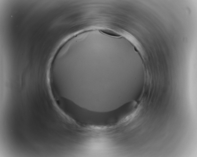 X0000088470958200706051340