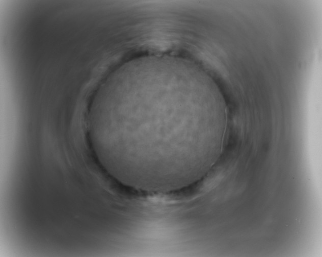 X0000088470961200706051339