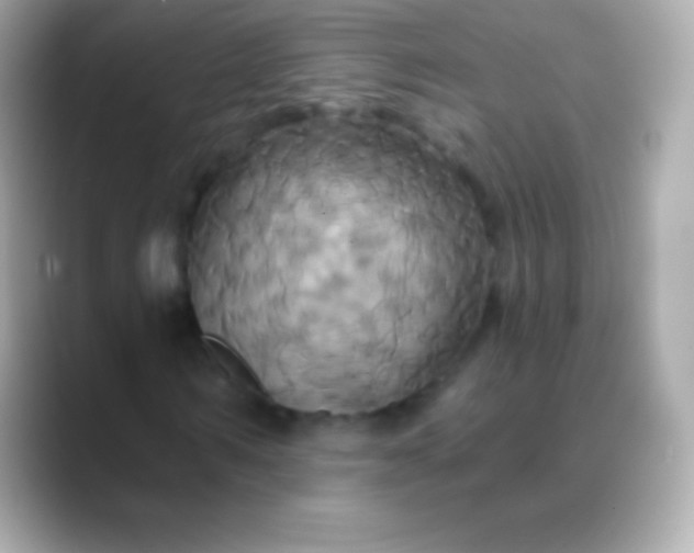 X0000088470962200706051339