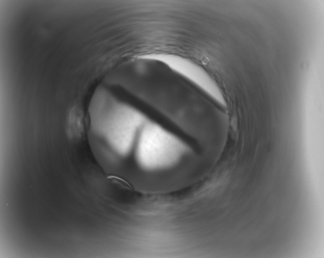 X0000088470963200706051339