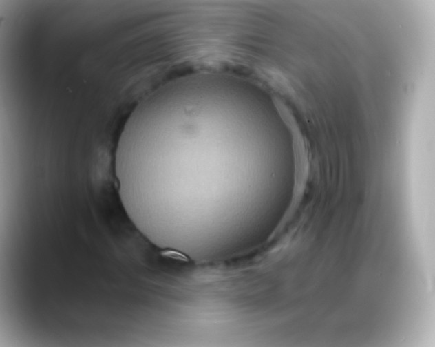 X0000088470964200706051339