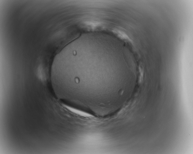 X0000088470965200706051339