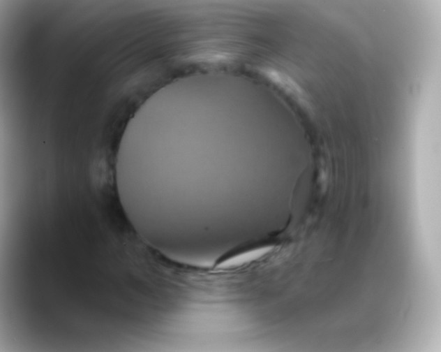 X0000088470966200706051339