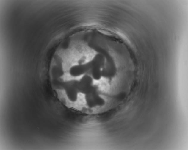 X0000088470967200706051339