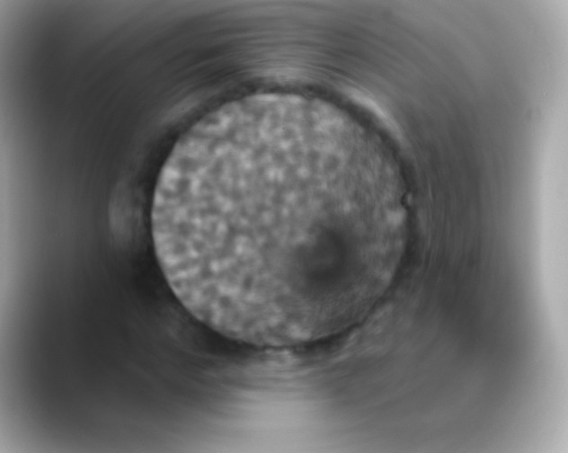 X0000088470968200706051339