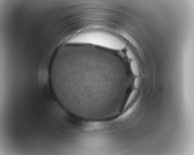 X0000088470969200706051339