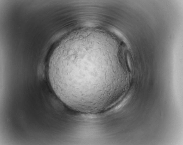 X0000088470970200706051339