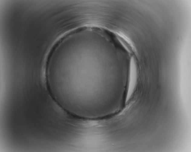 X0000088470976200706051339