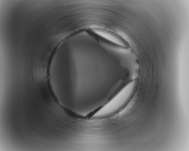 X0000088470977200706051339