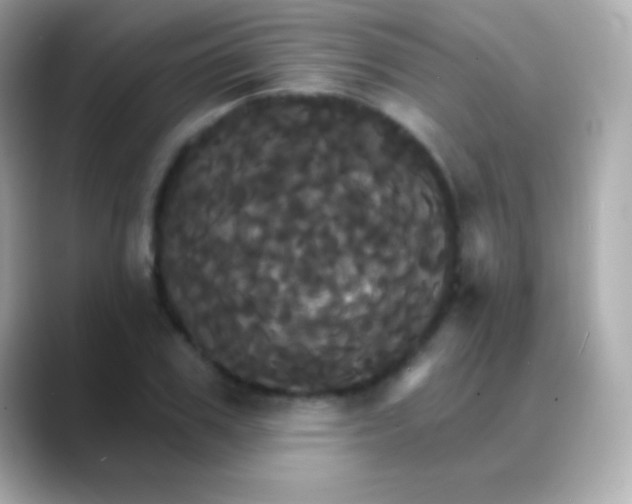 X0000088470979200706051339