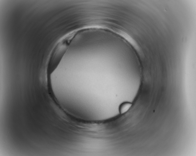 X0000088470980200706051339