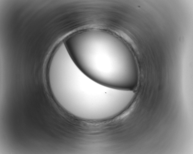 X0000088470981200706051339