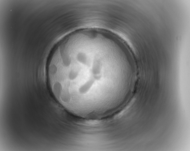 X0000088470982200706051339