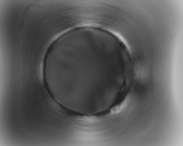 X0000088470983200706051339