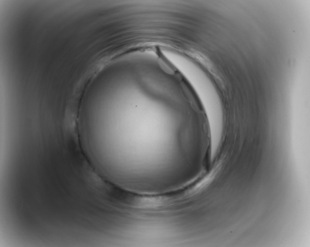 X0000088470985200706051339