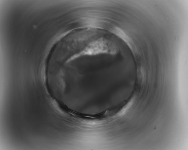 X0000088470987200706051339