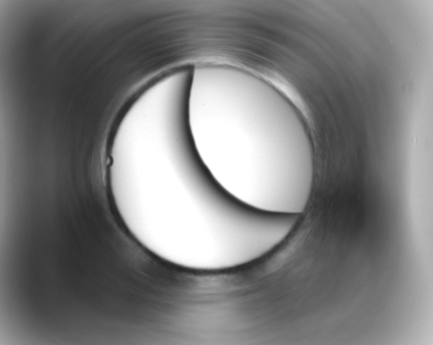 X0000088470988200706051339