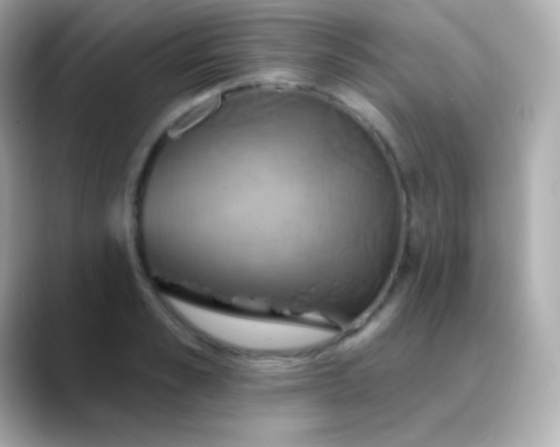 X0000088470989200706051339