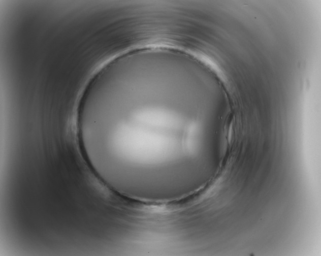 X0000088470990200706051339