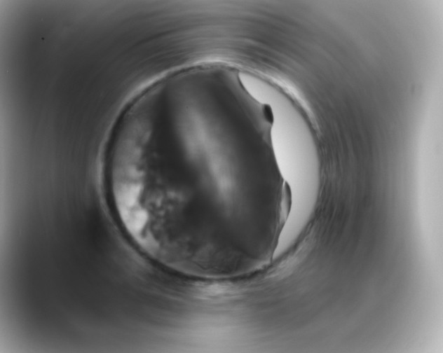 X0000088470991200706051339